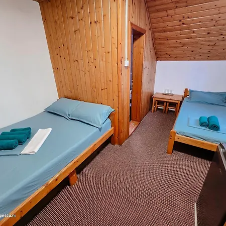 Summer Vibe Konukevi